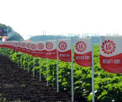 Note, description et avis du fabricant Agrofirm Limagrain Groupe