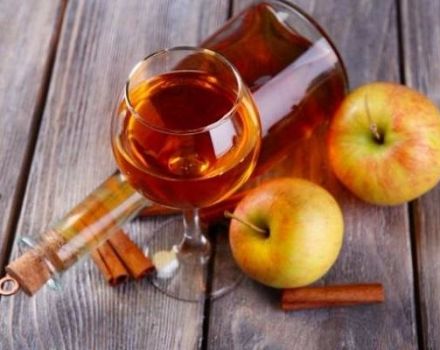 13 recettes de vin de pomme maison faciles, étape par étape