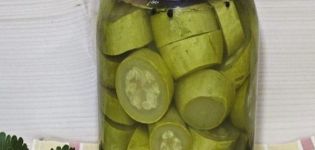 TOP 11 des meilleures recettes pour faire des courgettes marinées pour l'hiver