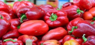 65 des meilleurs et des plus populaires poivrons en 2020 avec une description