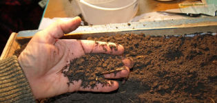 Comment préparer le sol pour les plants de tomates à la maison de vos propres mains