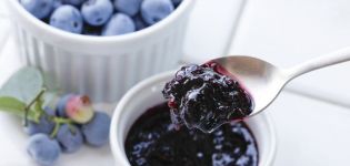 Ein einfaches Rezept für die Herstellung von Blaubeermarmelade für den Winter