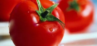 Characteristics and description of the La La Fa tomato variety, its yield