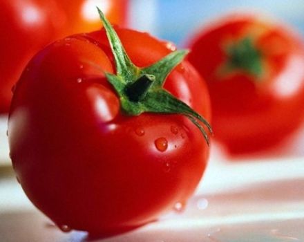 Eigenschaften und Beschreibung der Tomatensorte La La Fa, deren Ertrag