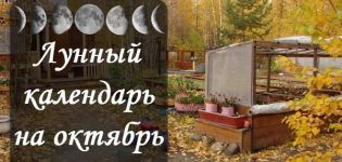 Lunar sowing calendar of the gardener and gardener, table of works for October 2020
