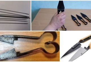 Wie und was man Schafscheren zu Hause schärft, Top 5 Möglichkeiten