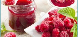 5 köstliche Rezepte für die Zubereitung von gefrorener Beerenmarmelade für den Winter