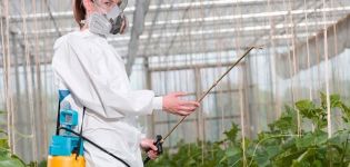 Arten von Gurkenschädlingen, Kontrolle und Behandlung