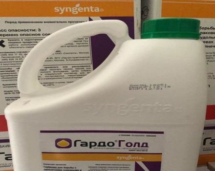 Instructions pour l'utilisation de l'herbicide Gardo Gold, taux de consommation et comment préparer une solution de travail