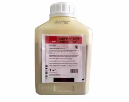 Instructions pour l'utilisation du fongicide 