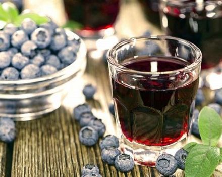 5 simple recipes for making blueberry wine at home