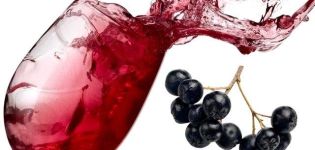 TOP 20 recipes for preparing chokeberry blanks for the winter