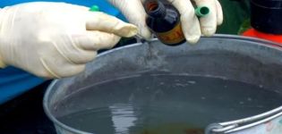 Top dressing, processing and spraying of cucumbers with brilliant green and iodine