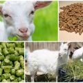 Composition of mixed feed for goats and rules of cooking with your own hands, storage