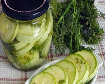 TOP 13 des recettes pour cuisiner de jeunes courgettes marinées pour l'hiver