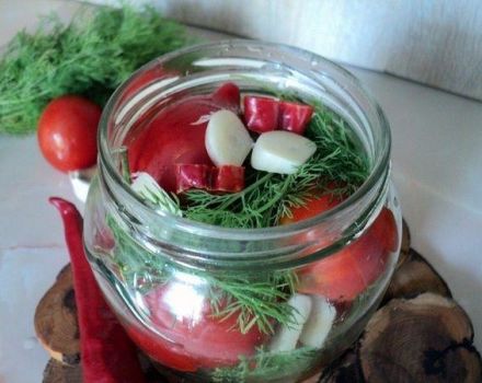 16 meilleures recettes pour faire des tomates chaudes marinées pour l'hiver