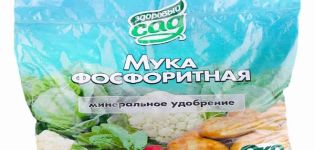 Zusammensetzung, Eigenschaften und Anwendung von Phosphatgestein als Dünger