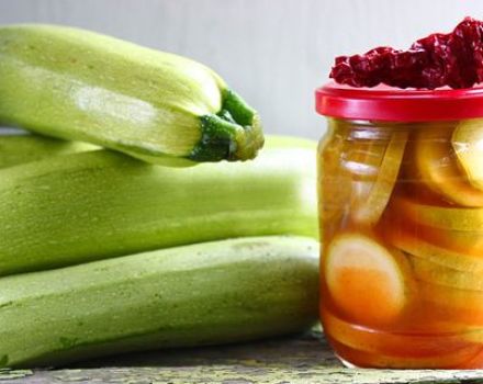 Die besten Rezepte für die Zubereitung von Zucchini für den Winter mit Chili-Ketchup
