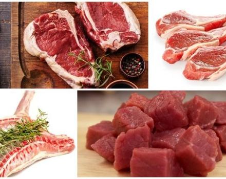 Les avantages et les inconvénients de la viande de chèvre, la consommation quotidienne et la cuisson