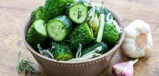 TOP 10 de délicieuses recettes pour mariner rapidement les concombres pour l'hiver