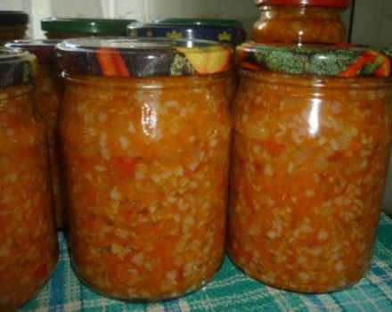 5 meilleures recettes étape par étape pour l'hiver à partir de sarrasin aux légumes