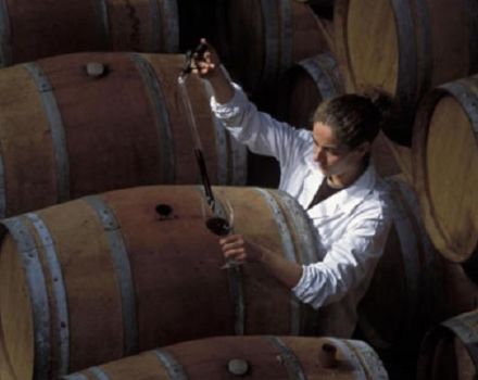 Warum hausgemachter Wein bitter schmecken kann und wie man ihn am besten repariert