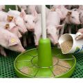 Composition and instructions for using BMVD for feeding pigs, how to do it yourself