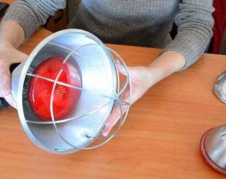 Beste Chicken Warmer Lampe Optionen, Eigenschaften Infrarot und Keramik