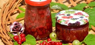 Schritt-für-Schritt-Rezept für die Zubereitung von Johannisbeer- und Stachelbeermarmelade für den Winter