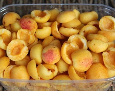 TOP 5 des recettes pour bien congeler la prune de cerise pour l'hiver au congélateur