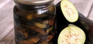 10 best recipes for cooking fried eggplant for the winter step by step