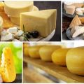 Top 4 types et noms de fromages au lait de brebis, avantages et inconvénients pour le corps
