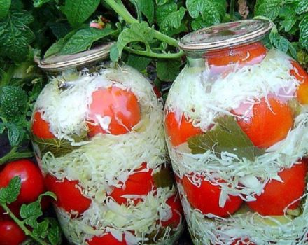 TOP 10 des recettes de tomates en conserve au chou dans des bocaux pour l'hiver