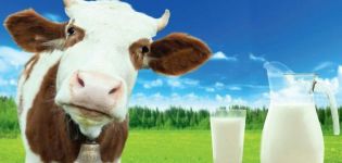 La formule chimique du lait et le tableau des substances dans la composition par 100 grammes, température