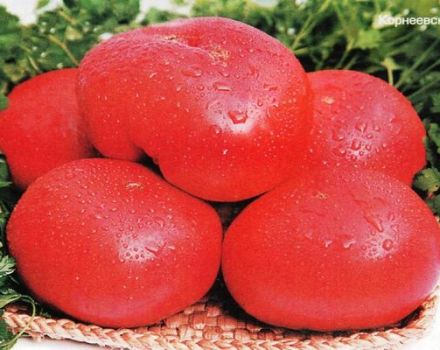 Caractéristiques de la variété de tomate Early love, son rendement