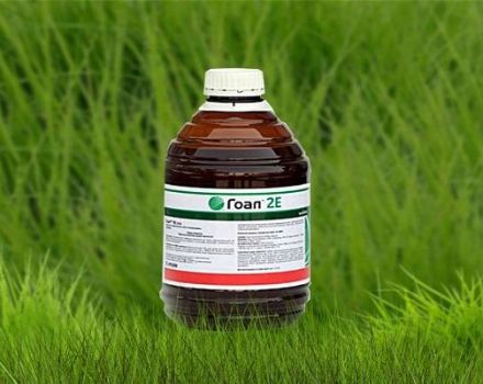 Gebrauchsanweisung und Wirkmechanismus des Zielherbizids, Herstellung einer Arbeitslösung