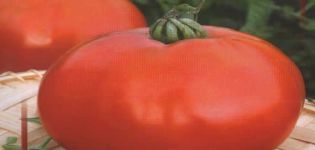 Description de la variété de tomate Handbag et ses caractéristiques