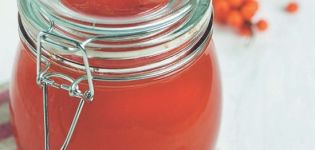 Recettes simples pour faire de la confiture d'argousier pour l'hiver à la maison