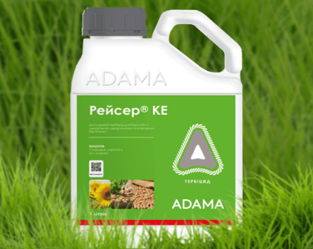 Instructions pour l'utilisation de l'herbicide Racer, mécanisme d'action et taux de consommation