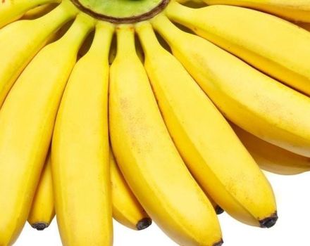 10 besten Schritt-für-Schritt-Bananenrezepte für den Winter