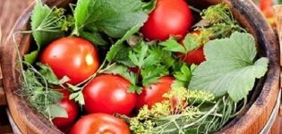 TOP 16 Rezepte für gesalzene Tomaten in Gläsern kalt ohne Essig