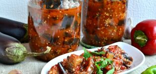 Les meilleures recettes pour cuisiner des aubergines en géorgien pour l'hiver