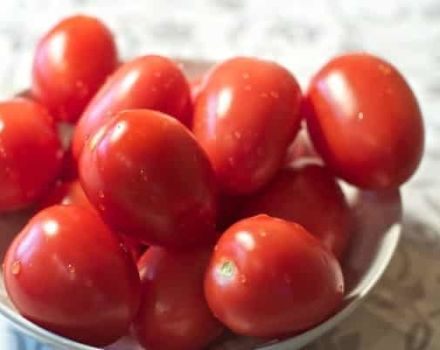 The most productive low-growing and unsaturated sweet varieties of tomatoes from the Nepas series