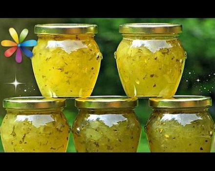 Recette pour faire de la confiture de concombre au citron, orange et miel