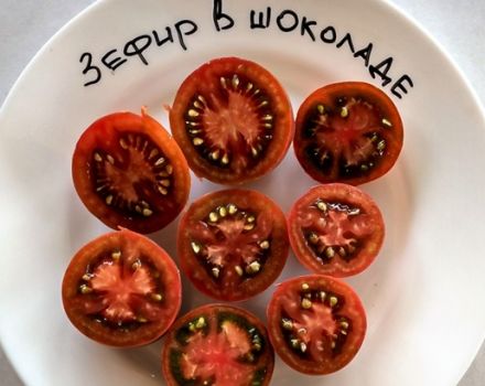 Description et rendement des variétés de tomates Guimauve au chocolat