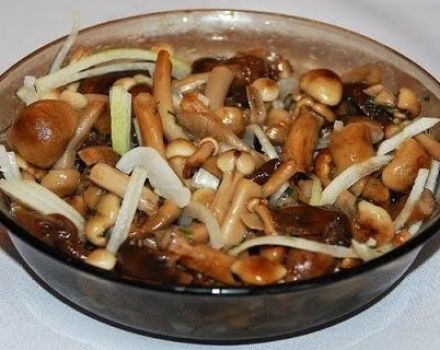 Une recette simple pour faire des champignons marinés pour l'hiver