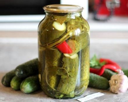 TOP 12 des recettes de concombres marinés sucrés pour l'hiver à la maison