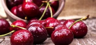 Useful properties and harm of cherries for human health and contraindications