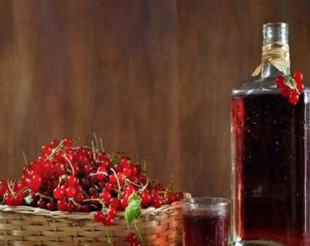 TOP 2 des recettes pour faire du vin à partir de framboises et de cassis à la maison