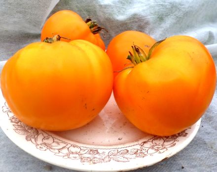 Caractéristiques et description de la variété de tomate Orange Fraise Allemande, son rendement